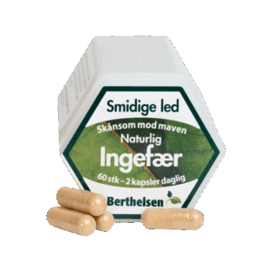Berthelsen Ingefær 60 kapsler