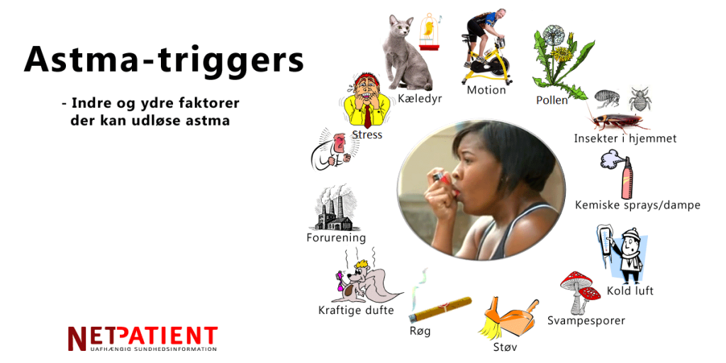 Astma-triggers; faktorer der udløser astmaanfald
