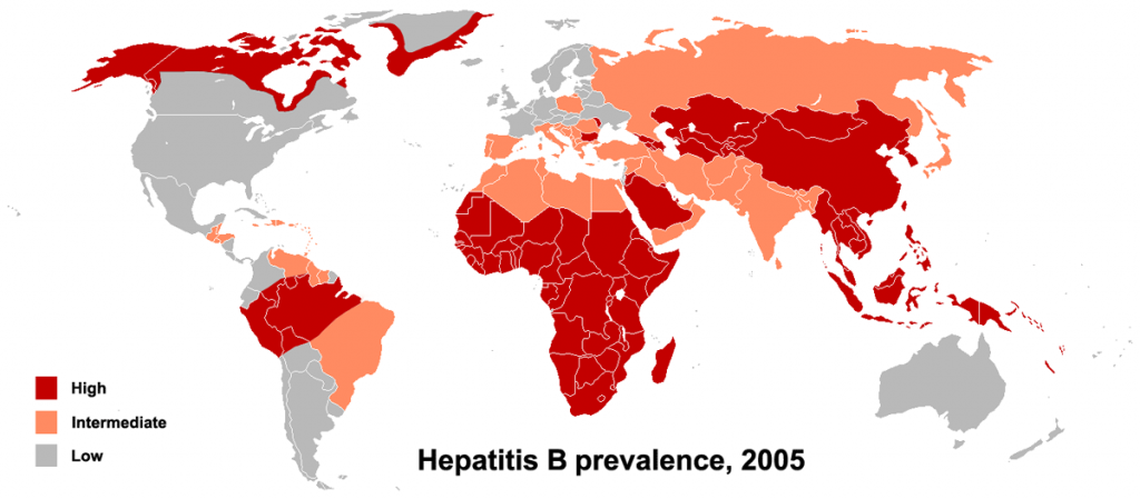 Den geografiske udbredelse af hepatits B i verden